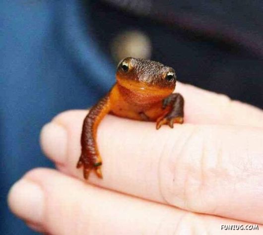 Cool Fun Pictures Of The Week