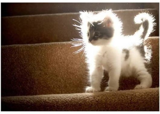 Crazy N Cool Pic Dump