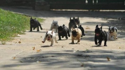 Crazy N Cool Pic Dump