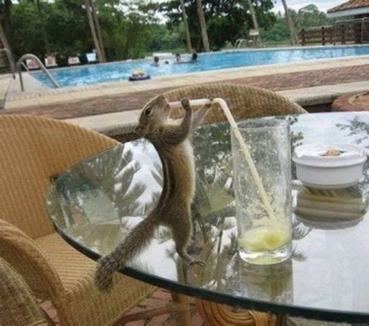 Crazy N Cool Pic Dump