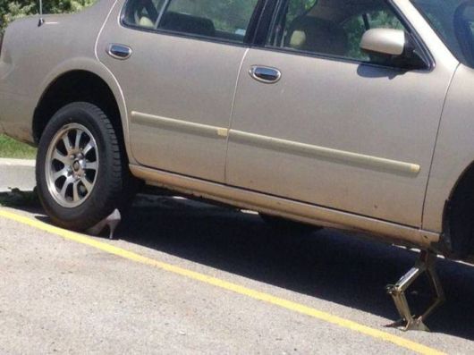 Crazy N Cool Pic Dump