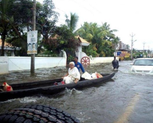 Crazy N Cool Pic Dump