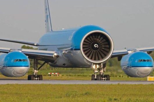 Crazy N Cool Pic Dump