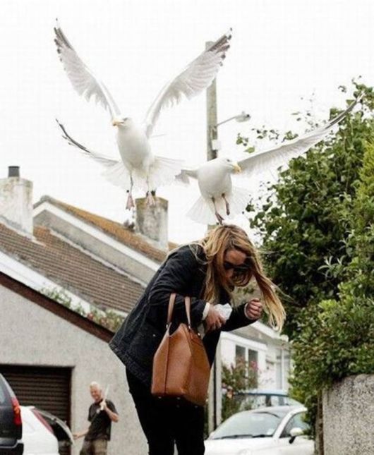 Crazy N Cool Pic Dump