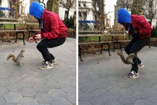 Crazy N Cool Pic Dump