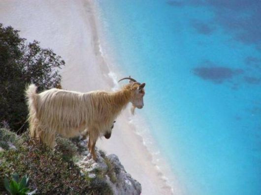 Daily Cool Picture Mania