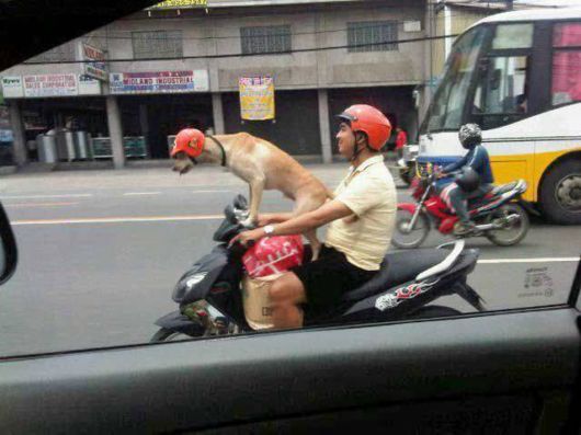 Daily Cool Picture Mania