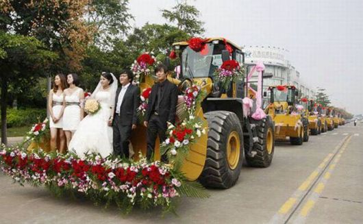 Daily Cool Picture Mania