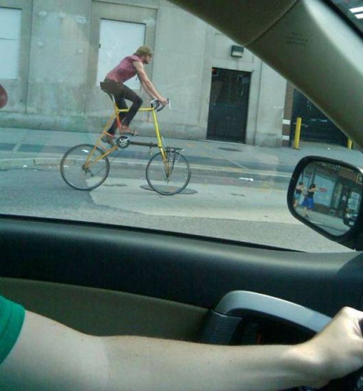 Daily Cool Picture Mania