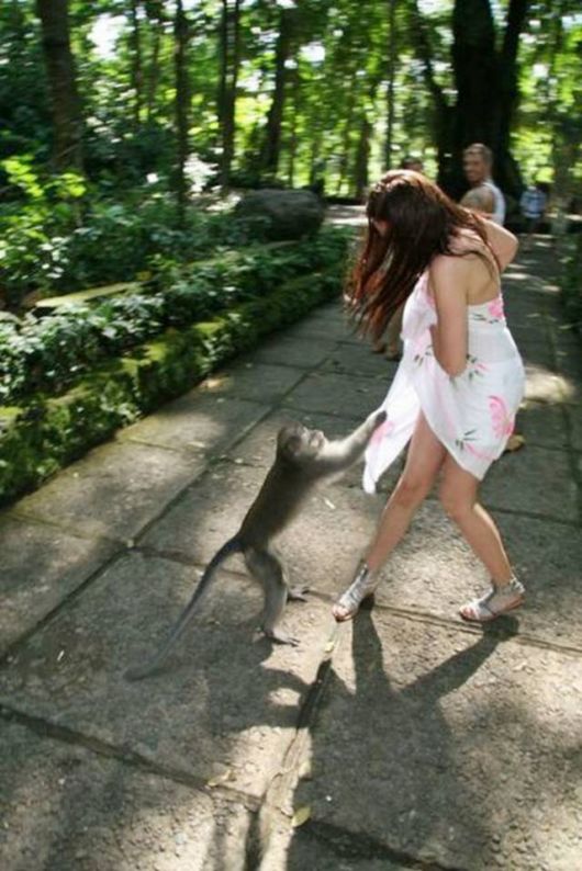 Daily Cool Picture Mania