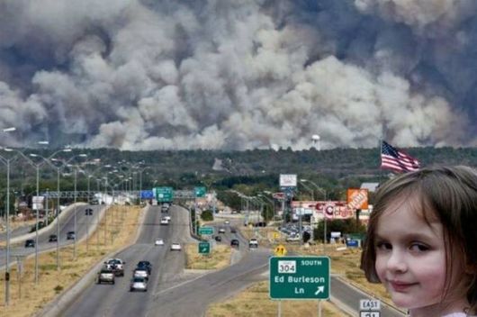 Daily Cool Picture Mania