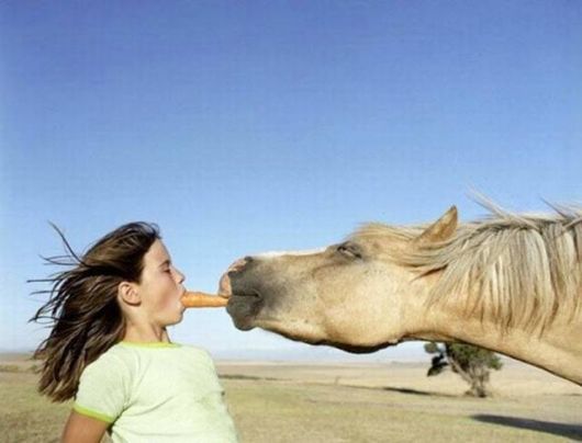 Daily Cool Picture Mania