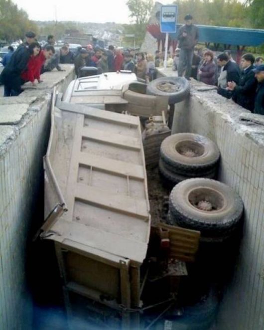 Daily Cool Picture Mania