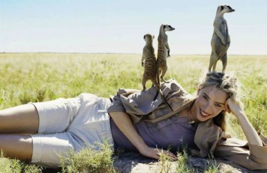 Daily Cool Picture Mania