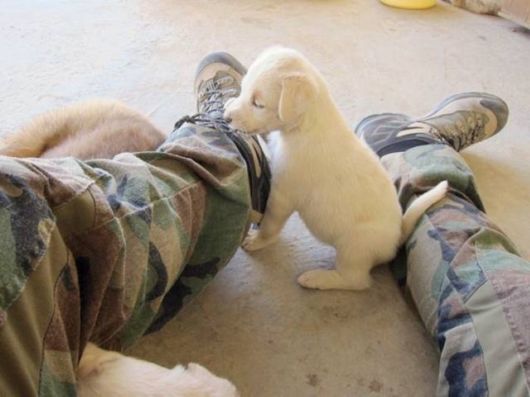 Daily Cool Picture Mania