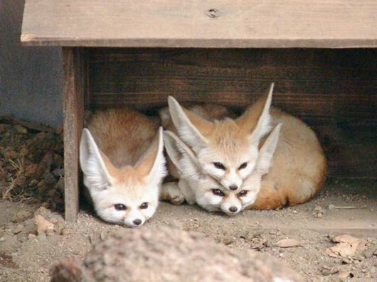 Daily Cool Picture Mania