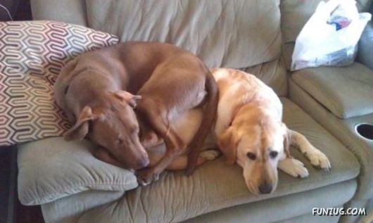 I Love Doing It My Way