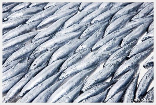 Very Funny Creative Chairs