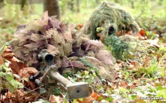 Amazing Military Hide Out Procedures