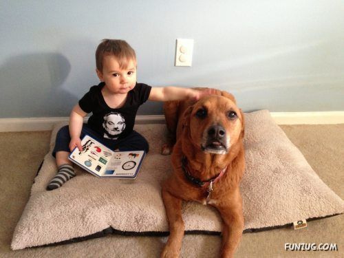 Silly Animals Making You Laugh