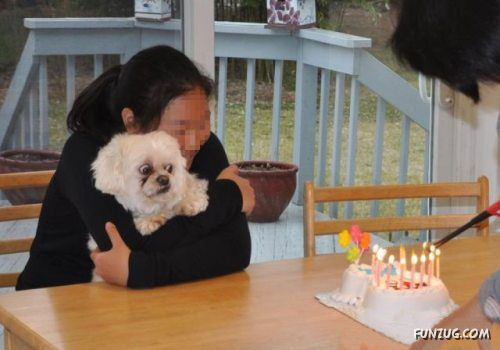 Silly Animals Making You Laugh