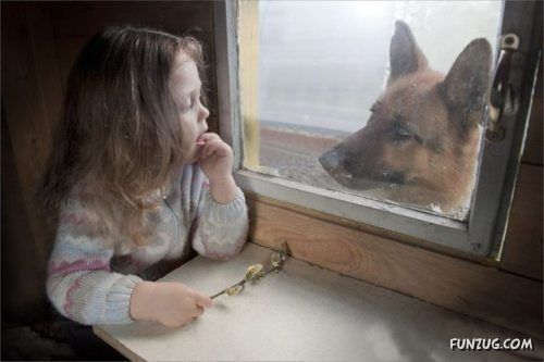 Silly Animals Making You Laugh