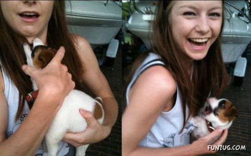 Silly Animals Making You Laugh