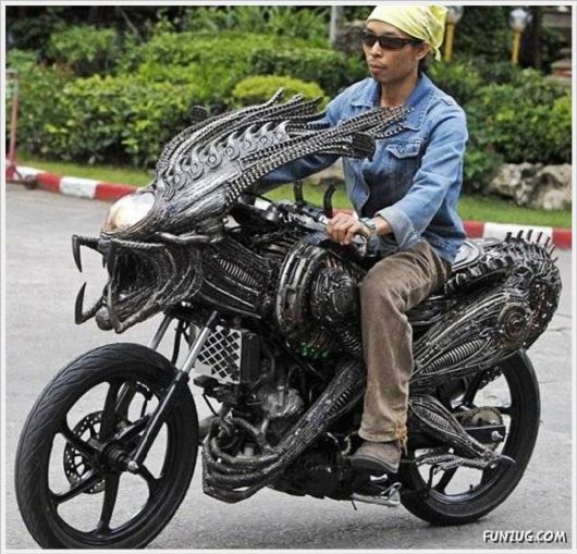 Super Cool Funny Pictures