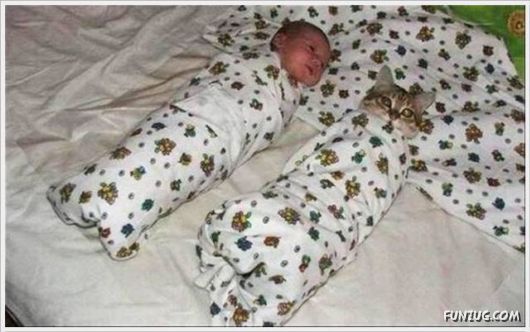 Super Cool Funny Pictures