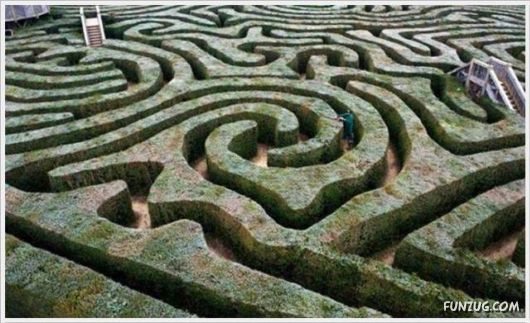 Super Cool Funny Pictures