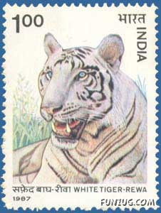 Back to School Days!