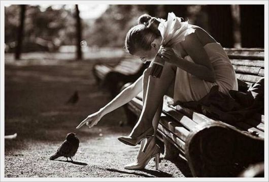 Pictures Perfect Moments of The Day