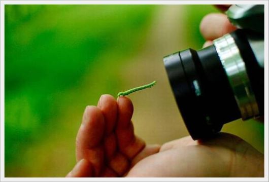 Pictures Perfect Moments of The Day