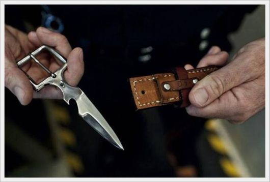 Pictures Perfect Moments of The Day