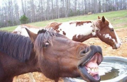 Sending You A Lot Of Smiles