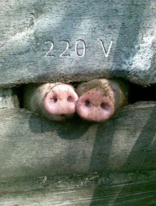 Sending You A Lot Of Smiles