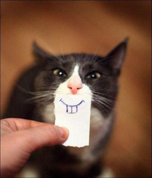 Sending You A Lot Of Smiles