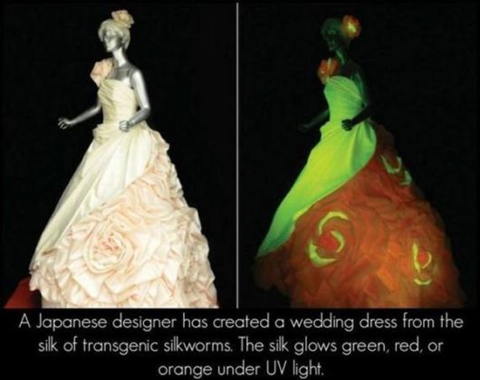 Some Unknown Facts About Science