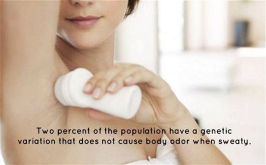 Some Unknown Facts About Science