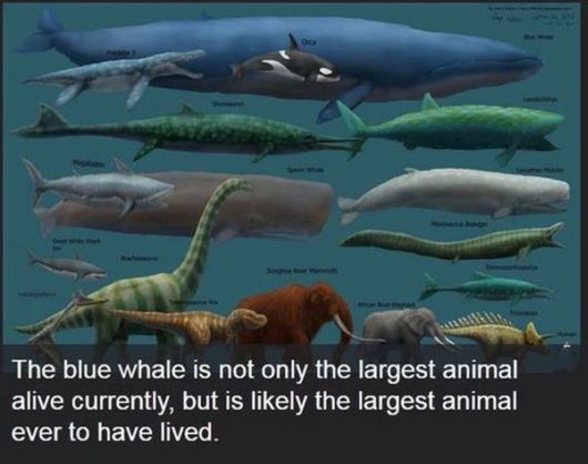 Some Unknown Facts About Science