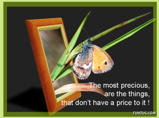 Its Almost The Spring Time