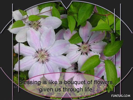 Its Almost The Spring Time