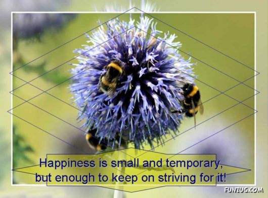 Its Almost The Spring Time