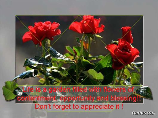 Its Almost The Spring Time