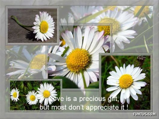 Its Almost The Spring Time