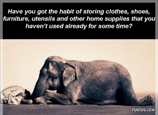 The Theory of Emptiness!