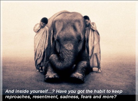 The Theory of Emptiness!