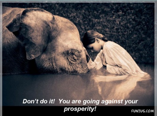 The Theory of Emptiness!