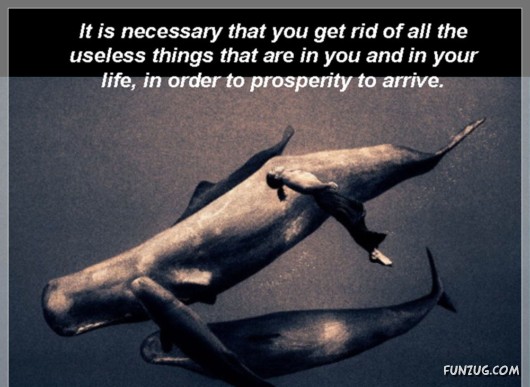 The Theory of Emptiness!