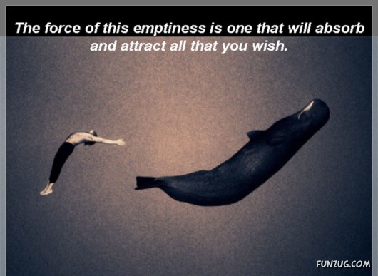 The Theory of Emptiness!